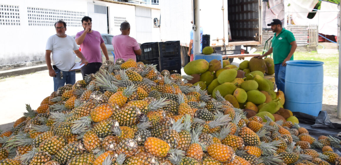 Governo compra 17,5 t de alimentos da agricultura familiar e atende pessoas em situação de insegurança alimentar